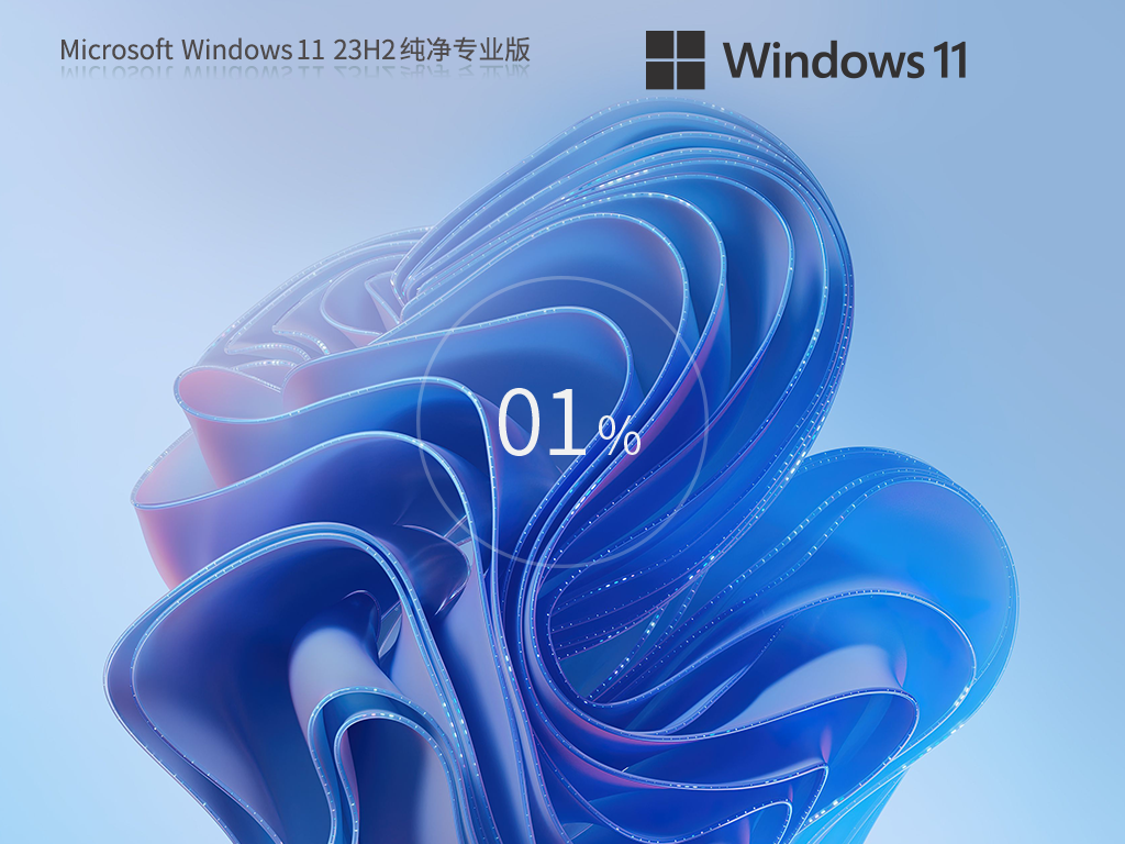 windows11 64λ  v2025